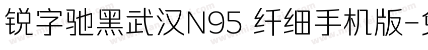 锐字驰黑武汉N95 纤细手机版字体转换